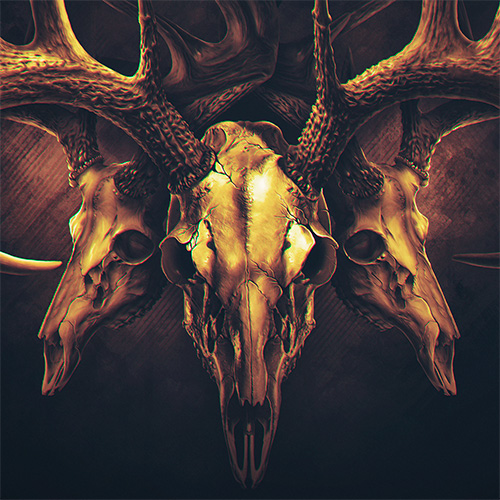 A design for a t-shirt, shown with two realistic illustrations of deer skulls.