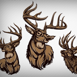 Stylized vector illustrations of Whitetail Deer and an Elk.