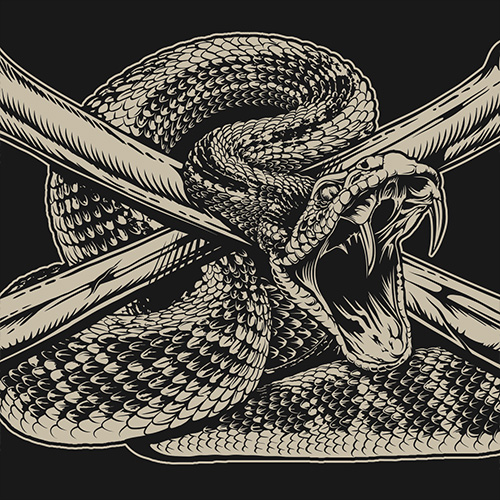 Rattlesnake design for a 'Don't Tread on Me' t-shirt design.