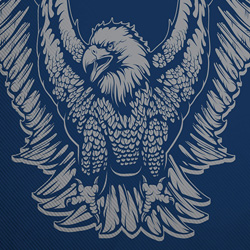 Eagle illustration in vector, and with some effects applied in Photoshop.