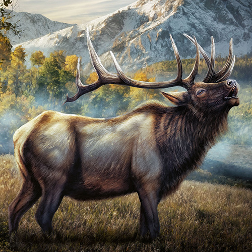 Elk illustration. For the background, I used photos from a hiking trip in the San Juan Mountains in Colorado as a reference for the illustration.