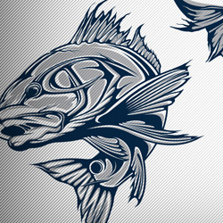Stylized fish illustrations.