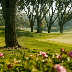 Golf course near Prior Lake, MN.