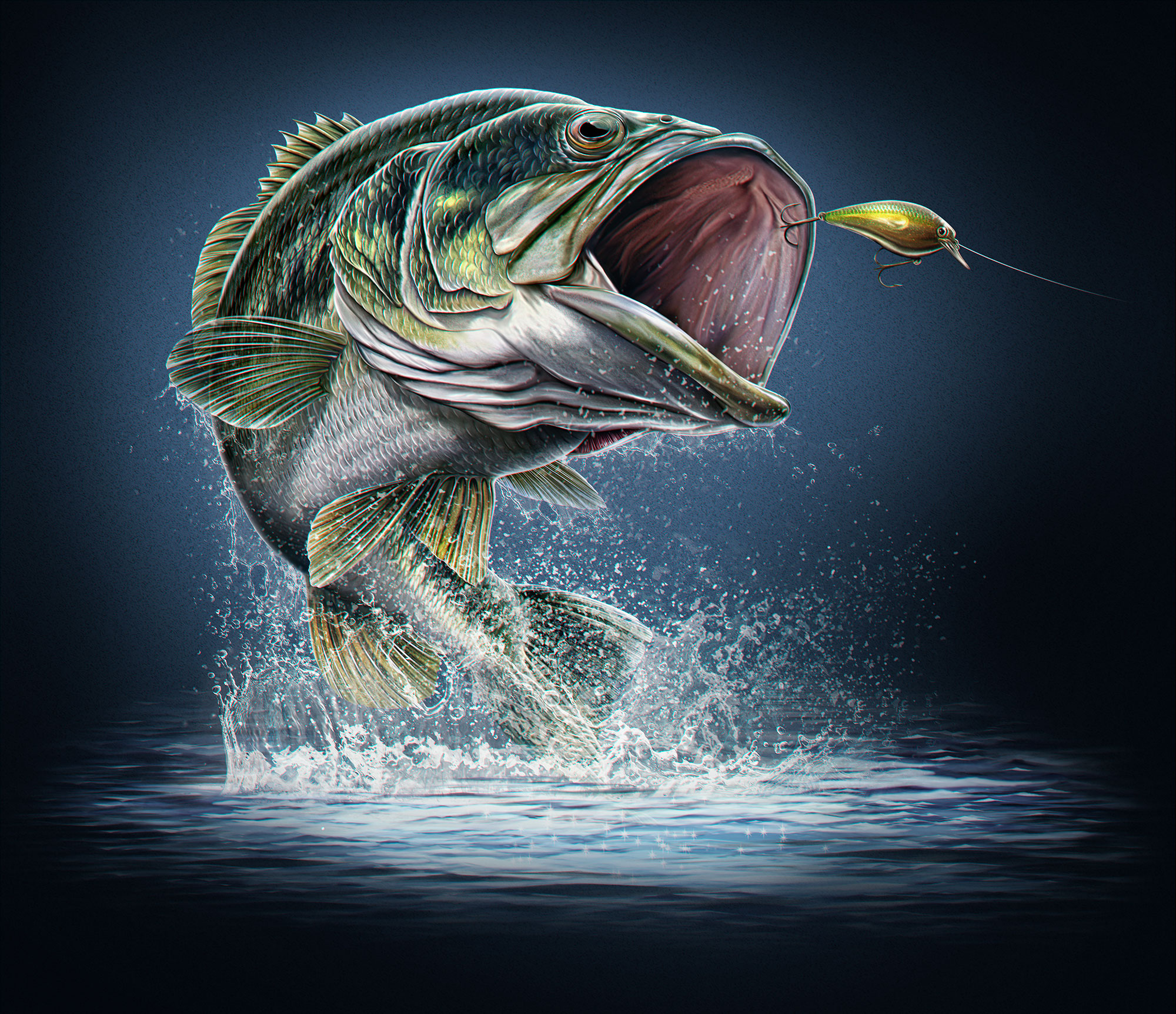 Largemouth Bass Fish Paintings