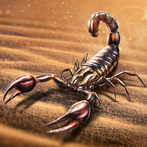 Illustration of a Scorpion in the desert sun.