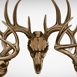Whitetail Deer skull vectors.