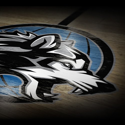 Timberwolves court logo concept for the 'Rebranding the TWolves' contest on ESPN.com.