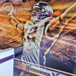 Mural wall designs for a Vikings suite inside the old Metrodome.