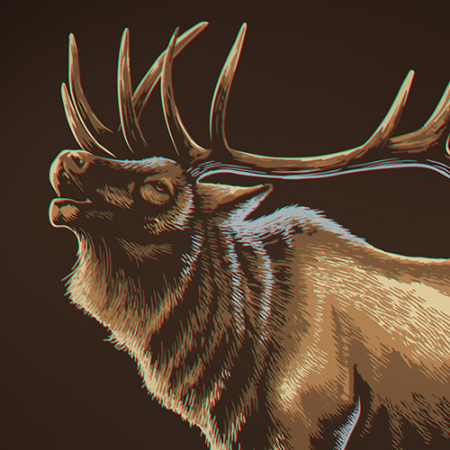 Vector Elk illustration using a hatching design style.
