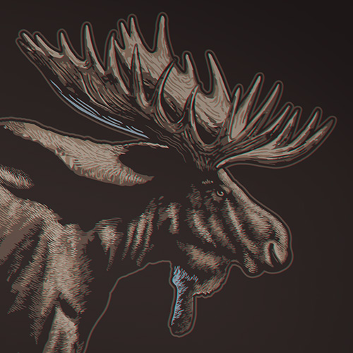 Vector Moose illustration using a hatching design style.