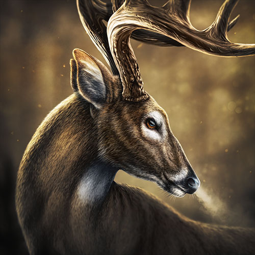 Illustration of a Whitetail Deer in an autumn forest.