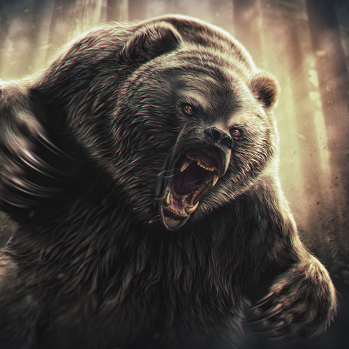 Illustration of an angry grizzly bear.